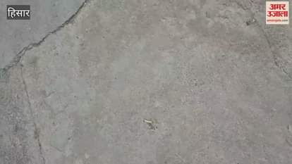 18 phones stolen from a mobile shop in Ganesh Market in Hisar and cash worth Rs 1.60 lakh stolen from a grocery store, police caught them at the railway station