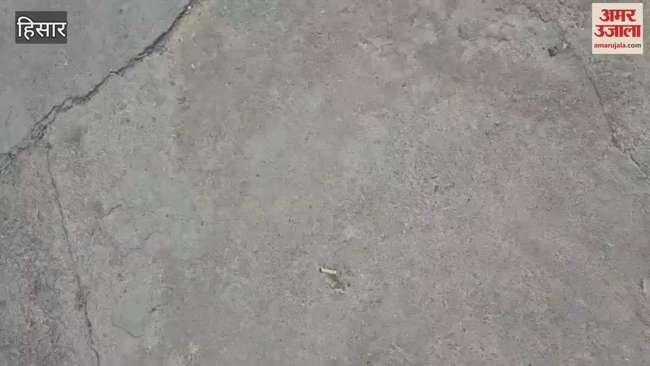 18 phones stolen from a mobile shop in Ganesh Market in Hisar and cash worth Rs 1.60 lakh stolen from a grocery store, police caught them at the railway station