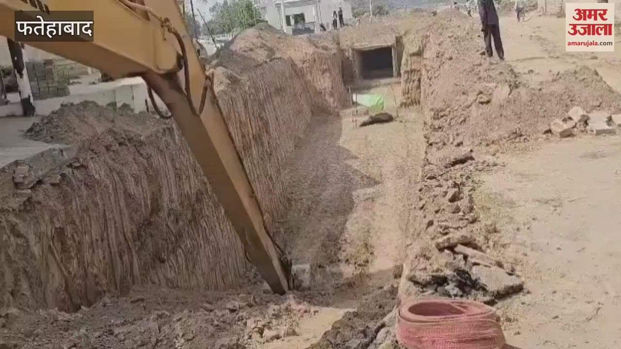 Due to the negligence of the contractor in Tohana, Fatehabad, a buffalo fell into the under-construction canal and died, the farmer suffered a loss of lakhs