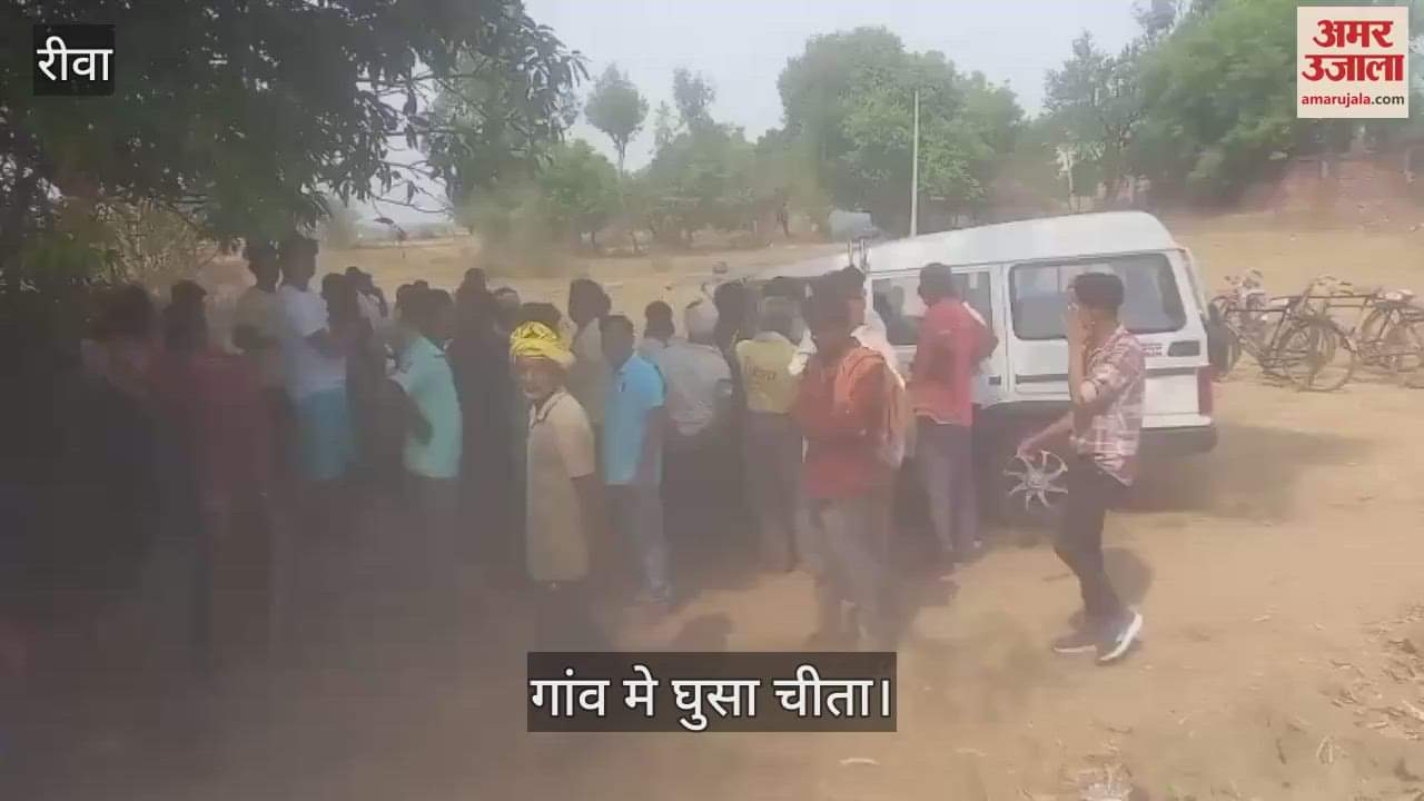 cheetah enters house attacks children village panic forest department rescue