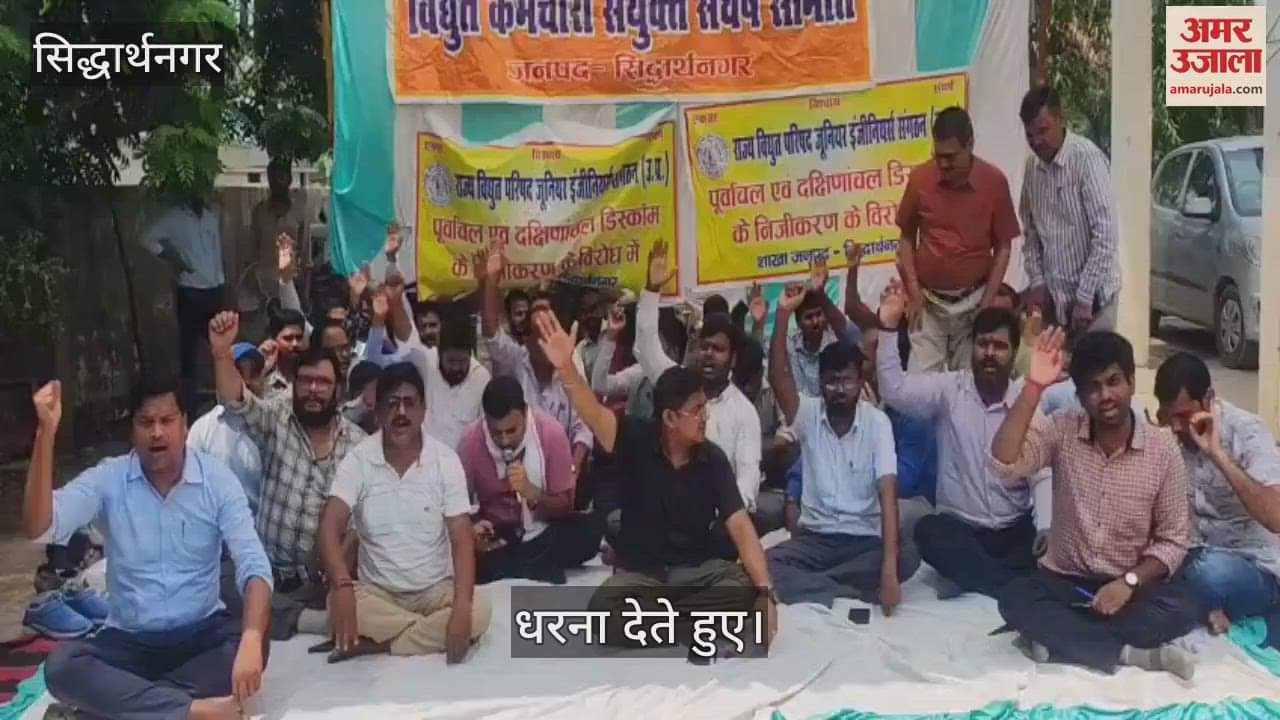 Electricity workers sit on strike against privatization