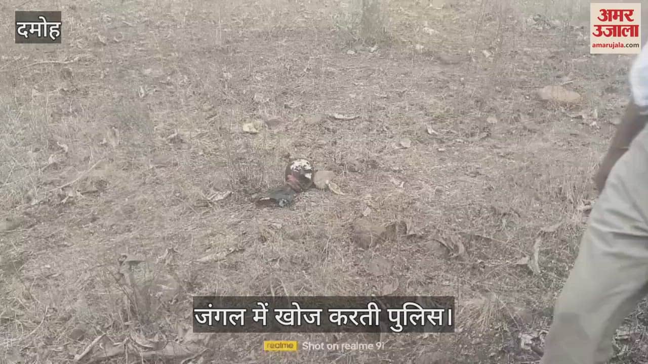 Bodies of missing brothers found 8 km away in the forest