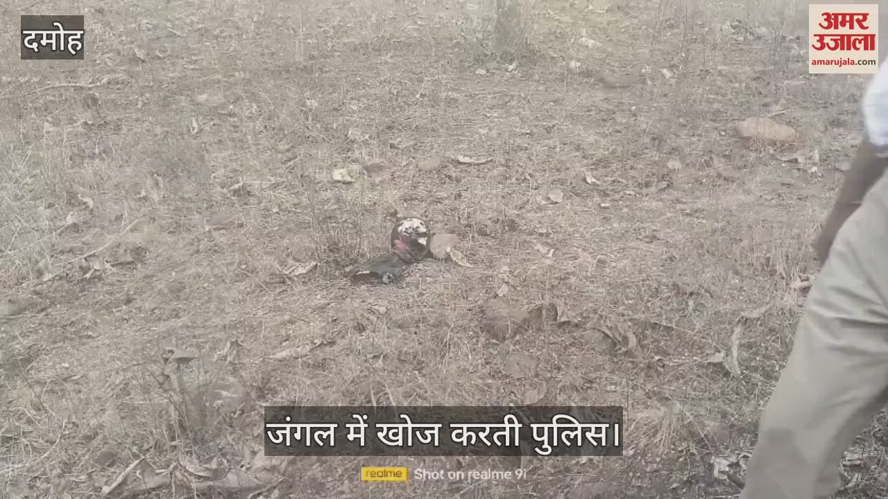 Bodies of missing brothers found 8 km away in the forest