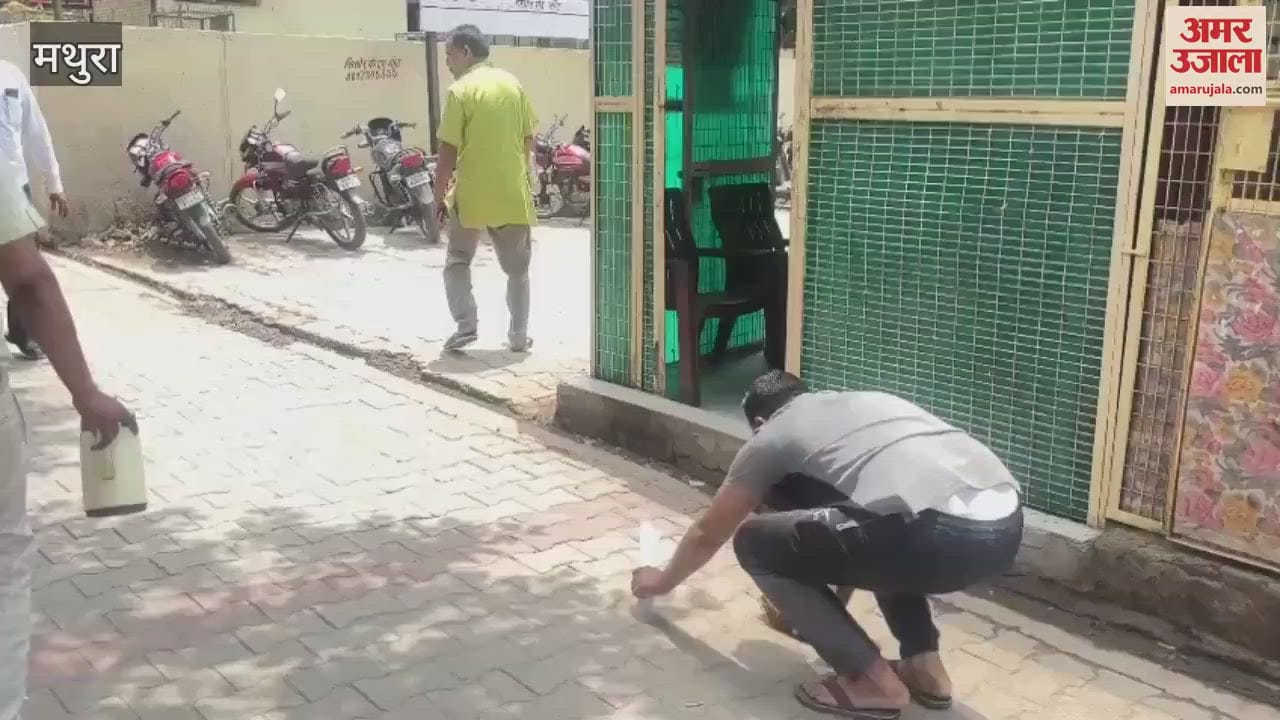 Coconut in hand and prostration complaint to the electricity department, this is how the victim reached the SDM office