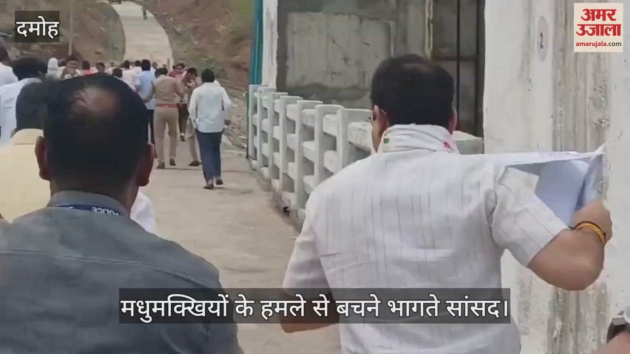 Damoh MP who came to inspect the dam was attacked by bees