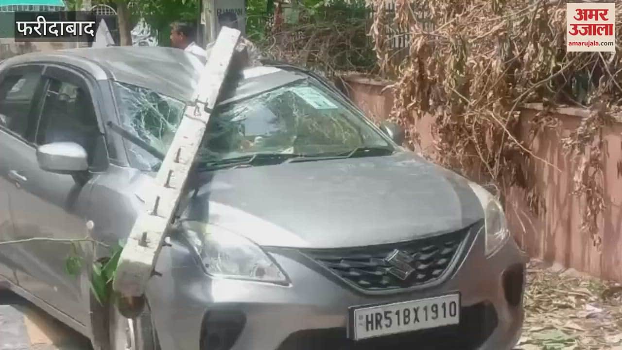 Car damaged due to falling of pole and tree in Faridabad