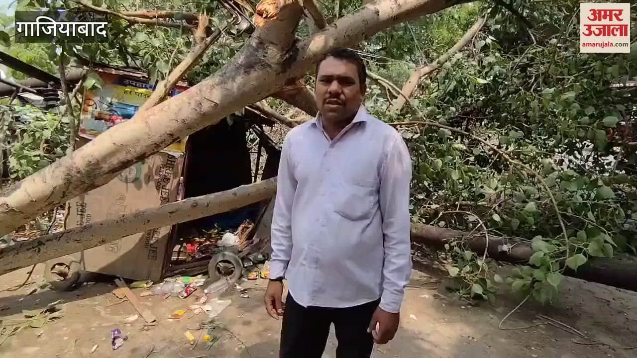 Trees fell at many places in Ghaziabad s Vasundhara