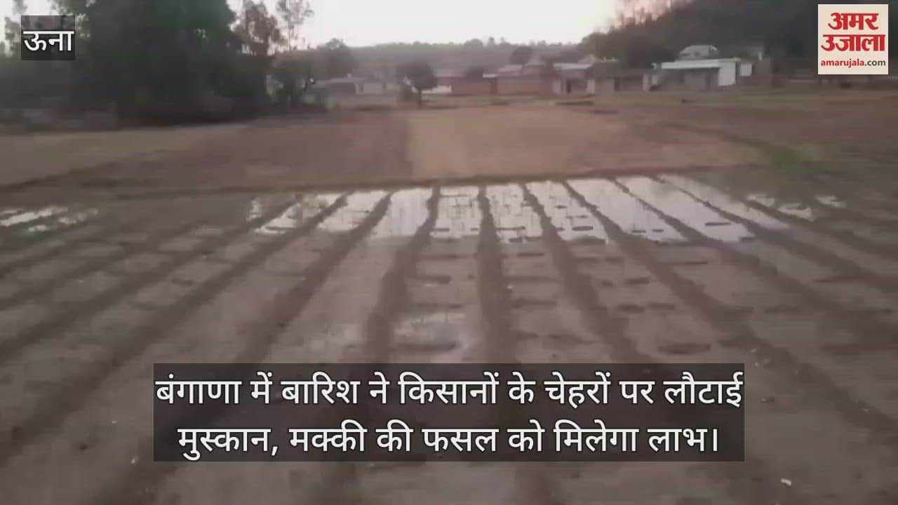 Rain brought smiles on farmers' faces, maize crop will benefit