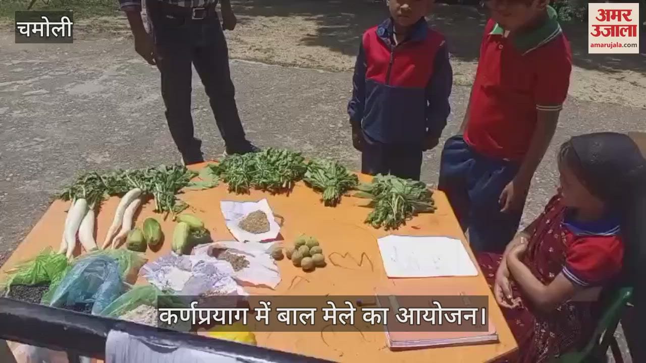 Children's fair organized in Karnaprayag... Students set up stalls of vegetables, pulses and toys