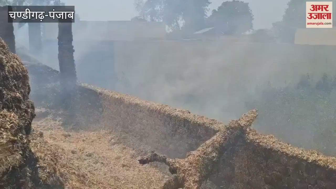 कपूरथला के नडाला में हाईवोल्टेज तारों में स्पार्किंग से तूड़ी जलकर राख