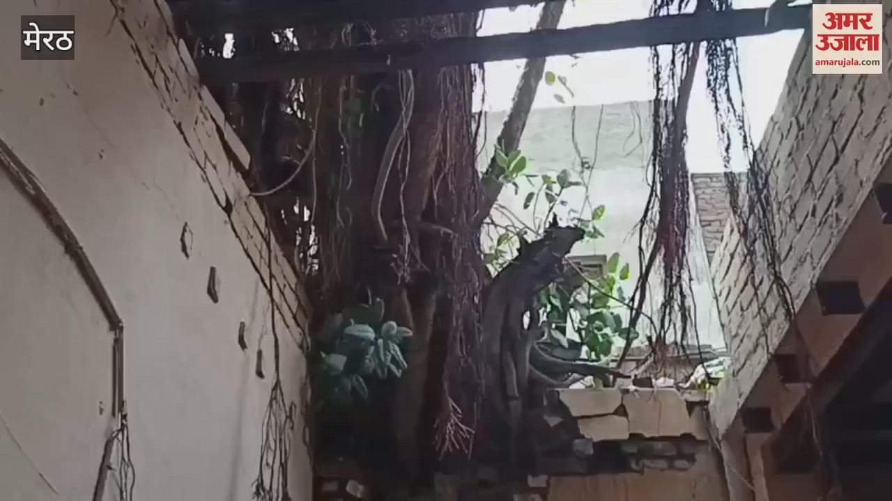 Meerut: Tree fell on house due to storm