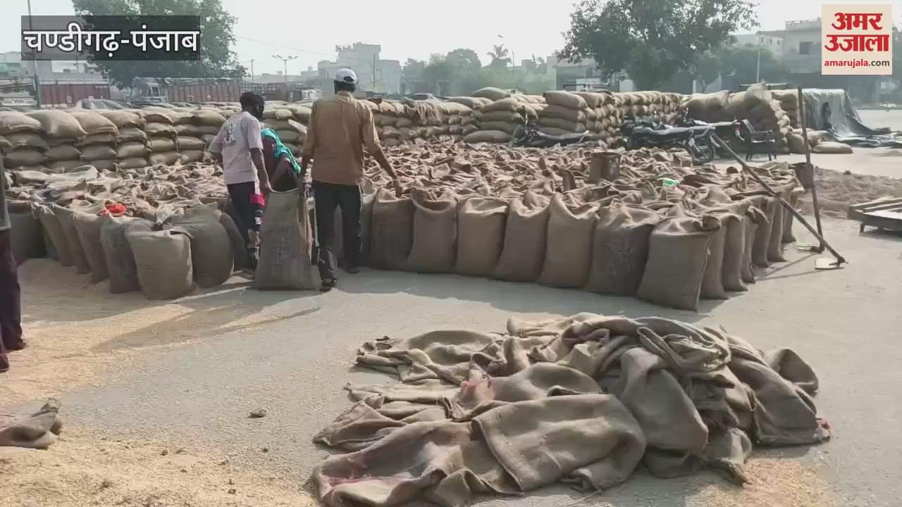 Wheat sacks lying in the open at the grain market in Ferozepur city