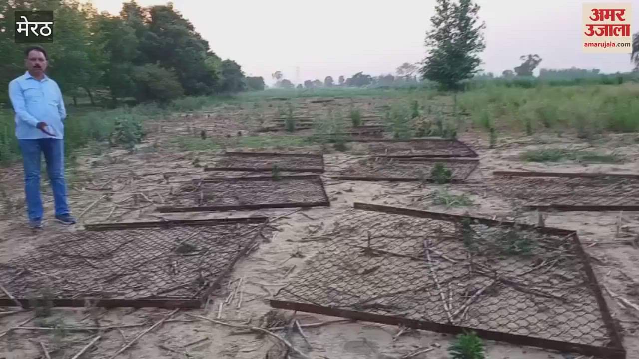 200 meters of net of Rataul underpass on Eastern Peripheral Expressway was being cut and taken away, left it and ran away
