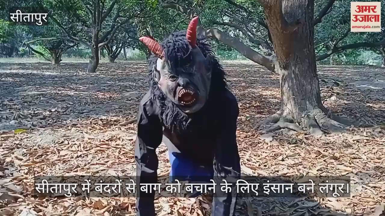 सीतापुर में बंदरों से बाग को बचाने के लिए इंसान बने लंगूर