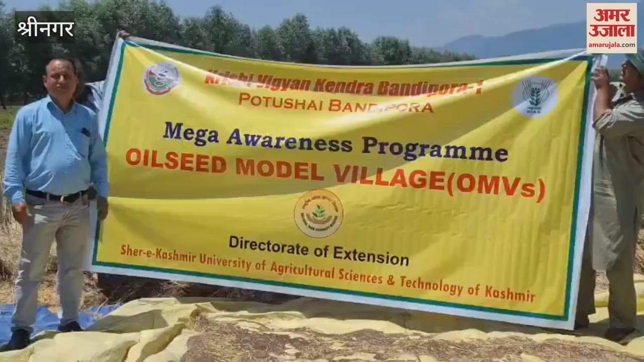 KVK Bandipora Launches Oilseed Model Village Project to Revive Cultivation in District