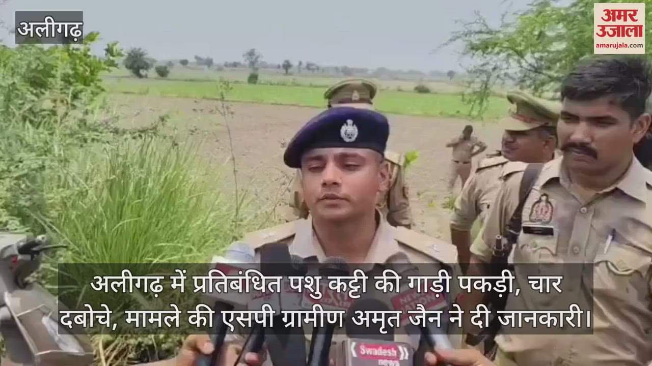 अलीगढ़ में प्रतिबंधित पशु कट्टी की गाड़ी पकड़ी, चार  दबोचे, मामले की एसपी ग्रामीण अमृत जैन ने दी जानकारी