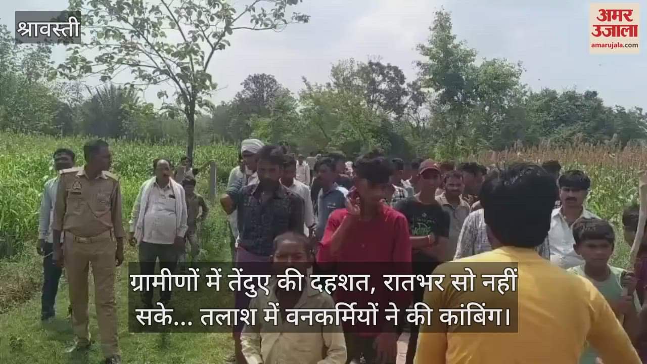 श्रावस्ती में ग्रामीणों में तेंदुए की दहशत, रातभर सो नहीं सके... तलाश में वनकर्मियों ने की कांबिंग