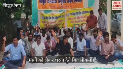 Electricity workers protest against privatization