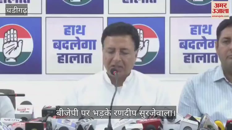 Randeep Surjewala Got Angry On Bjp – Amar Ujala Hindi News Live – बीजेपी पर भड़के सुरजेवाला, कहा