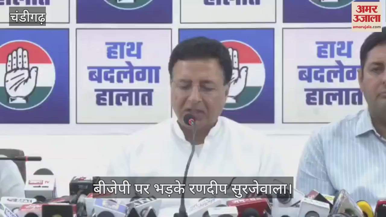 Randeep Surjewala got angry on BJP