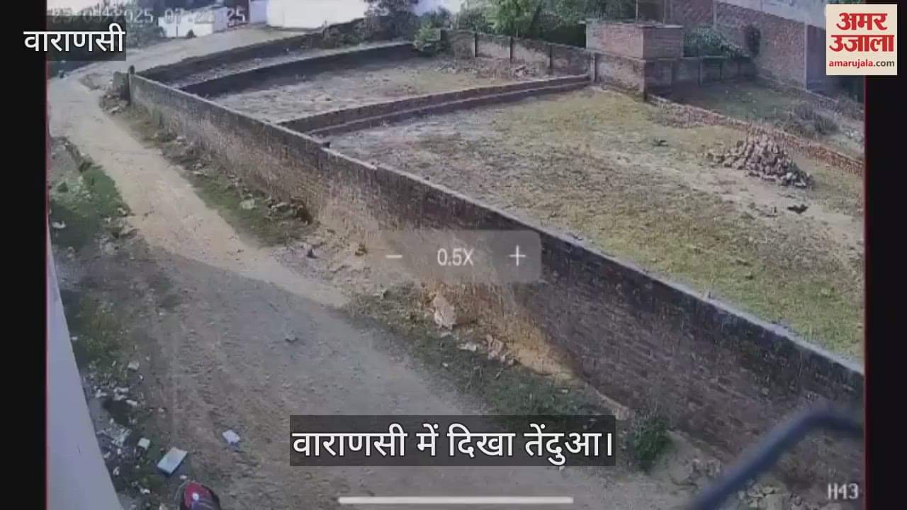 Leopard attacks young man in Varanasi condition critical