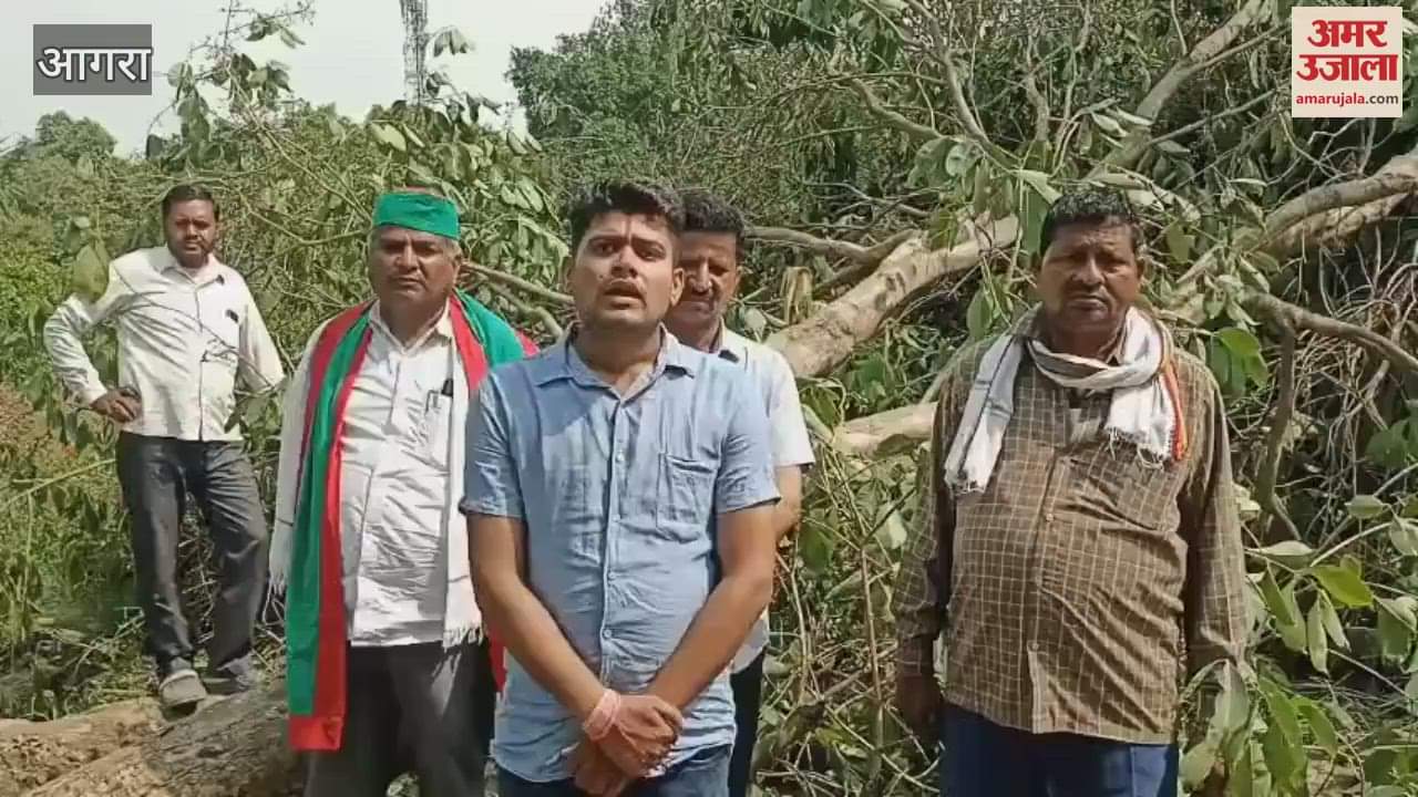 storm destroyed years of hard work in a momente farmers' jamun and mango trees were uprooted