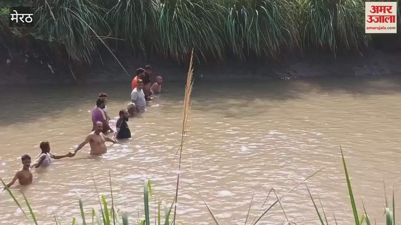 सांसद चंद्रशेखर की रैली में मेरठ से आए दोस्त नहर में डूबे, तीसरे दिन पुल के पास मिला सुहेल का शव, दूसरे की तलाश जारी