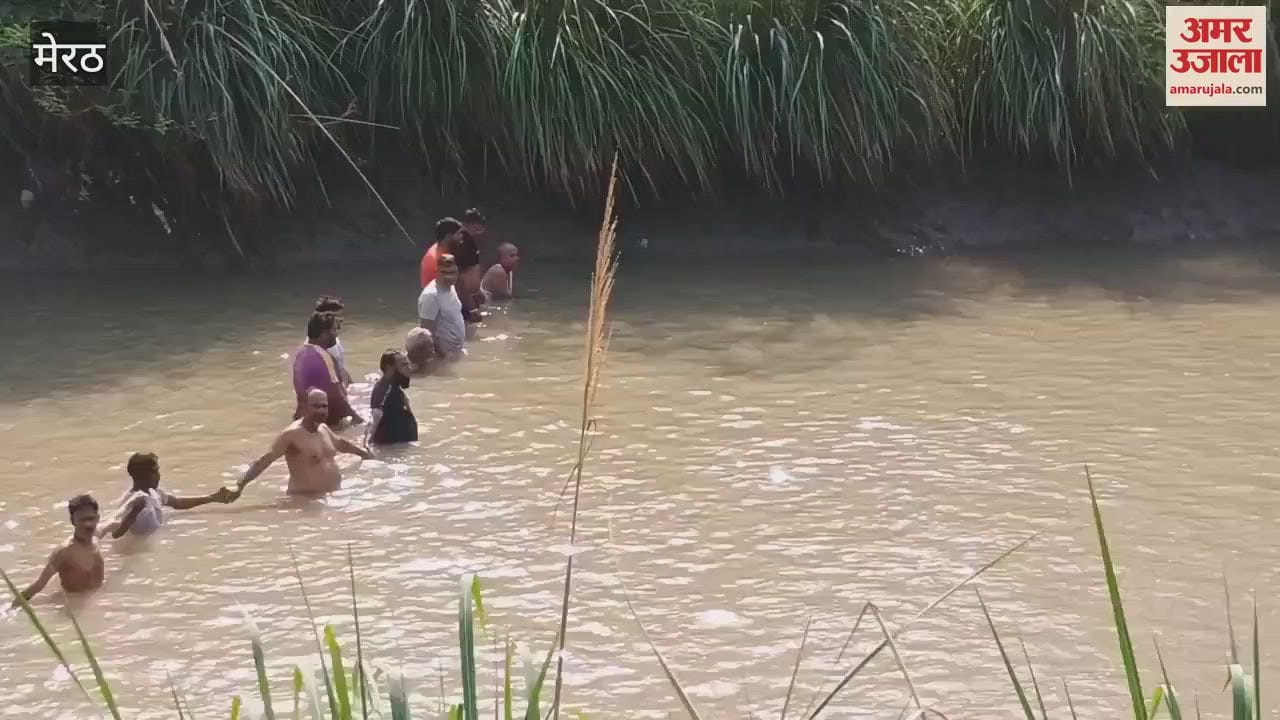 सांसद चंद्रशेखर की रैली में मेरठ से आए दोस्त नहर में डूबे, तीसरे दिन पुल के पास मिला सुहेल का शव, दूसरे की तलाश जारी