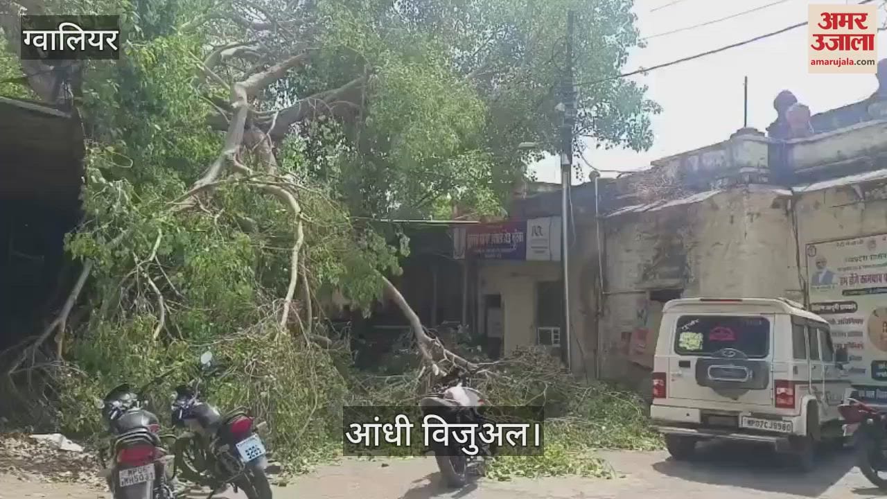 Storm wreaks havoc in Chambal: 4 killed in Morena due to tree falling and trolley overturning