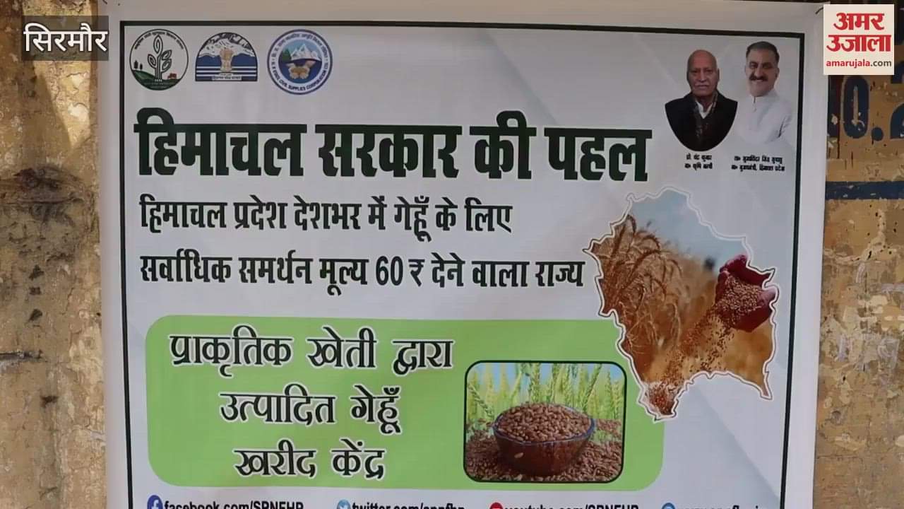 Sirmaur The government purchased 178 quintals of wheat produced through natural farming from 42 farmers