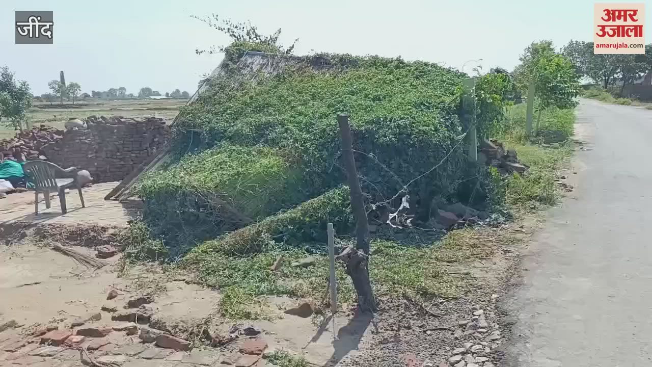 In Jind's Uchana, the storm caused electric poles and trees standing on the roads to fall, solar plates installed in the fields were broken