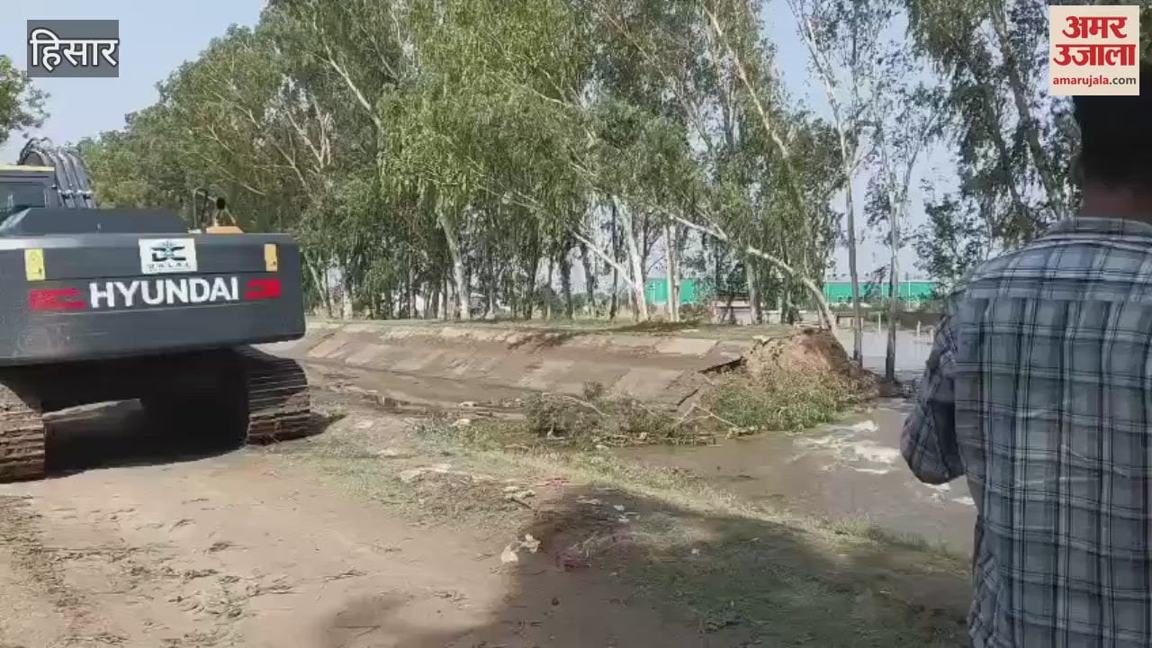 Balsamand branch damaged due to tree breaking in Hisar due to storm, fields filled with water