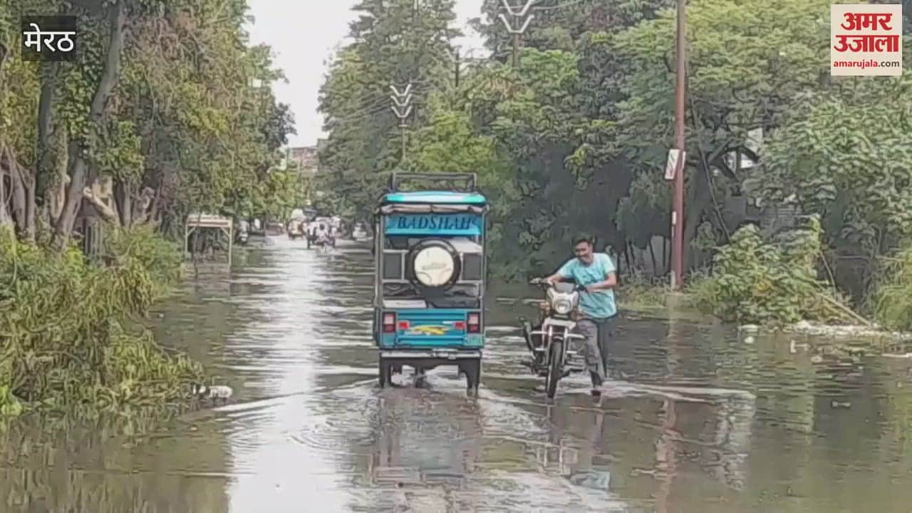 Meerut: Weather changed due to rain, experts said big thing about the storm, know which crops were damaged
