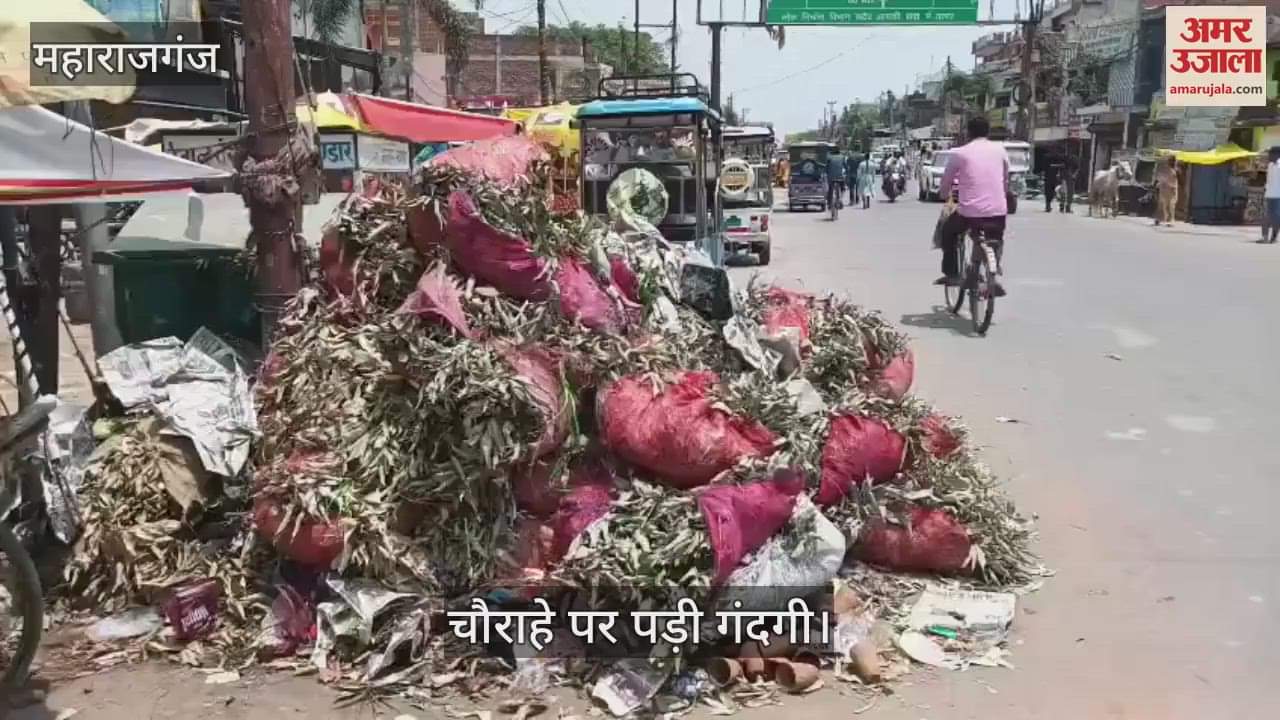 Heaps of garbage at Hanumangarhi crossing, people are facing problems due to foul smell