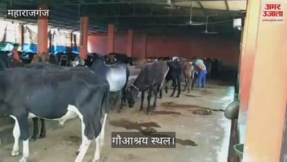 DM Santosh Kumar Sharma ordered cleanliness drive