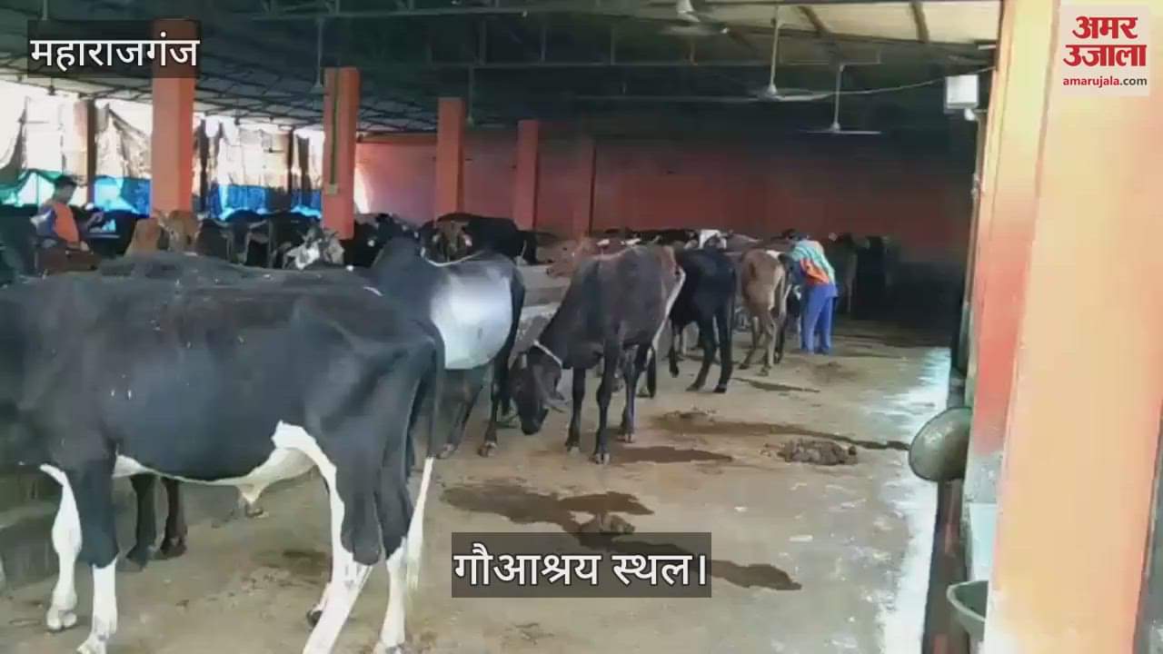 DM Santosh Kumar Sharma ordered cleanliness drive