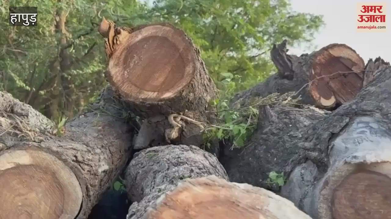 Villagers create ruckus over illegal logging in Hapur
