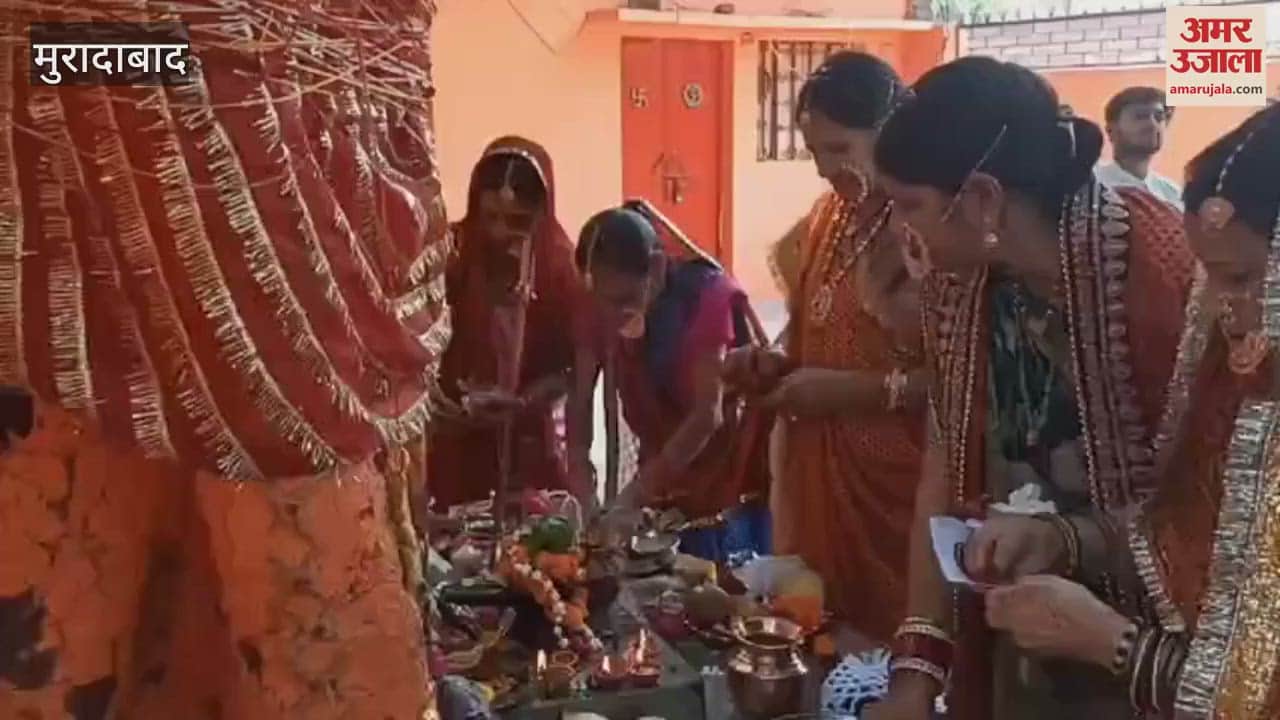 Married women in Moradabad performed Vat Savitri Puja and sought blessings for eternal good fortune
