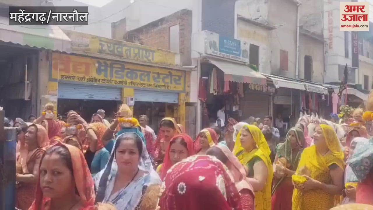 procession was taken out on the main roads of the city on the occasion of Shanidev Maharaj's birth anniversary In Mahendragarh
