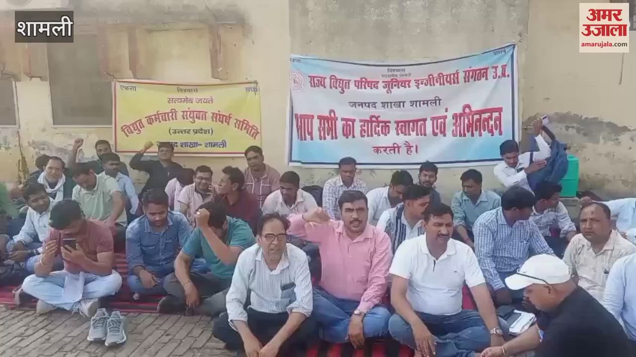 Employees of Energy Corporation continue to protest against privatization in Shamli