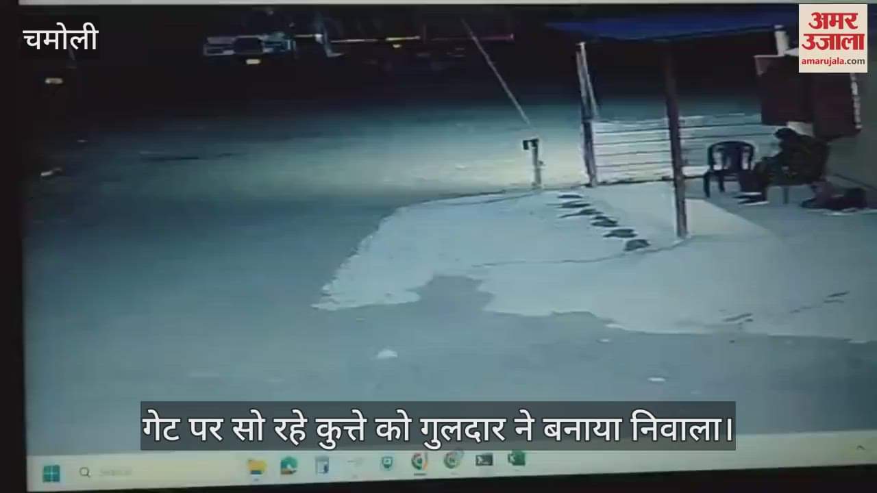 Leopard devoured dog sleeping at gate, security guard narrowly escaped