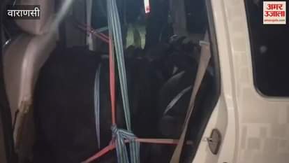 cow recovered from Scorpio written Army two calves its neck and horns tied