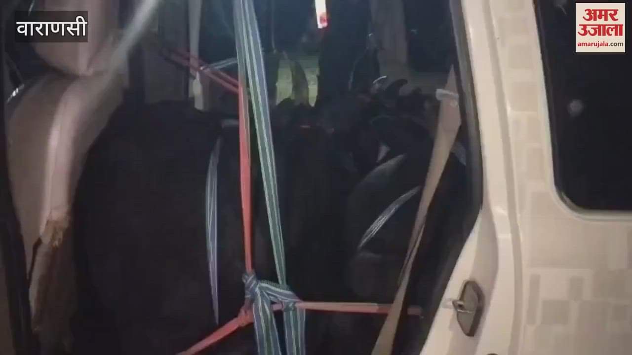 cow recovered from Scorpio written Army two calves its neck and horns tied