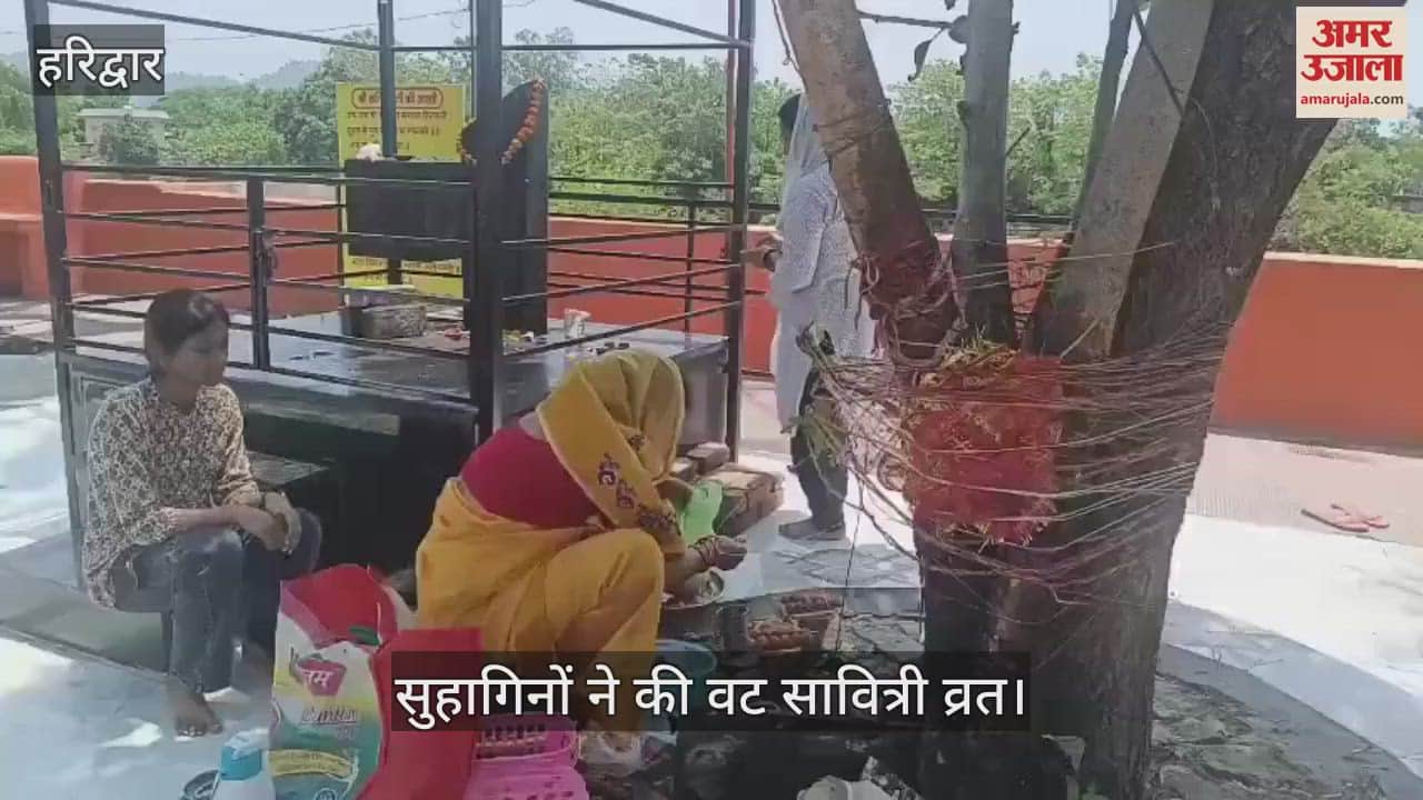 Vat Savitri Vrat: Married women in Haridwar prayed to the Vat tree and sought eternal good fortune