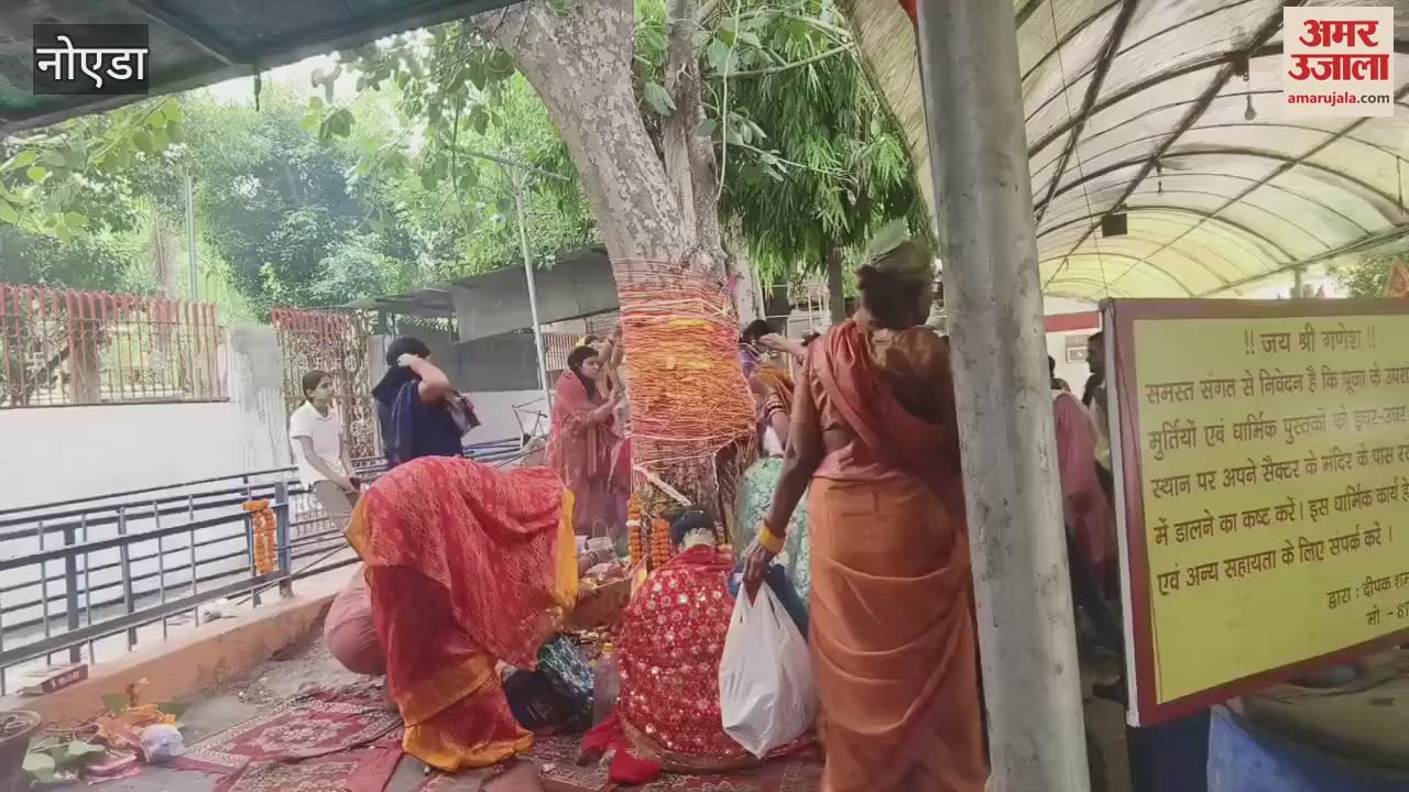 Noida Women were busy worshipping Banyan tree to wish for long life of their husband