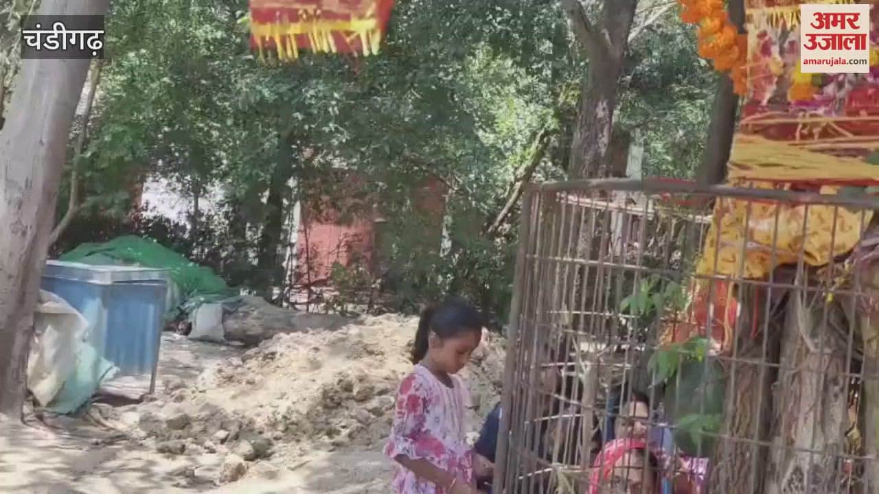 Vat Savitri Puja at the ancient Shiva temple in Maloya, Chandigarh