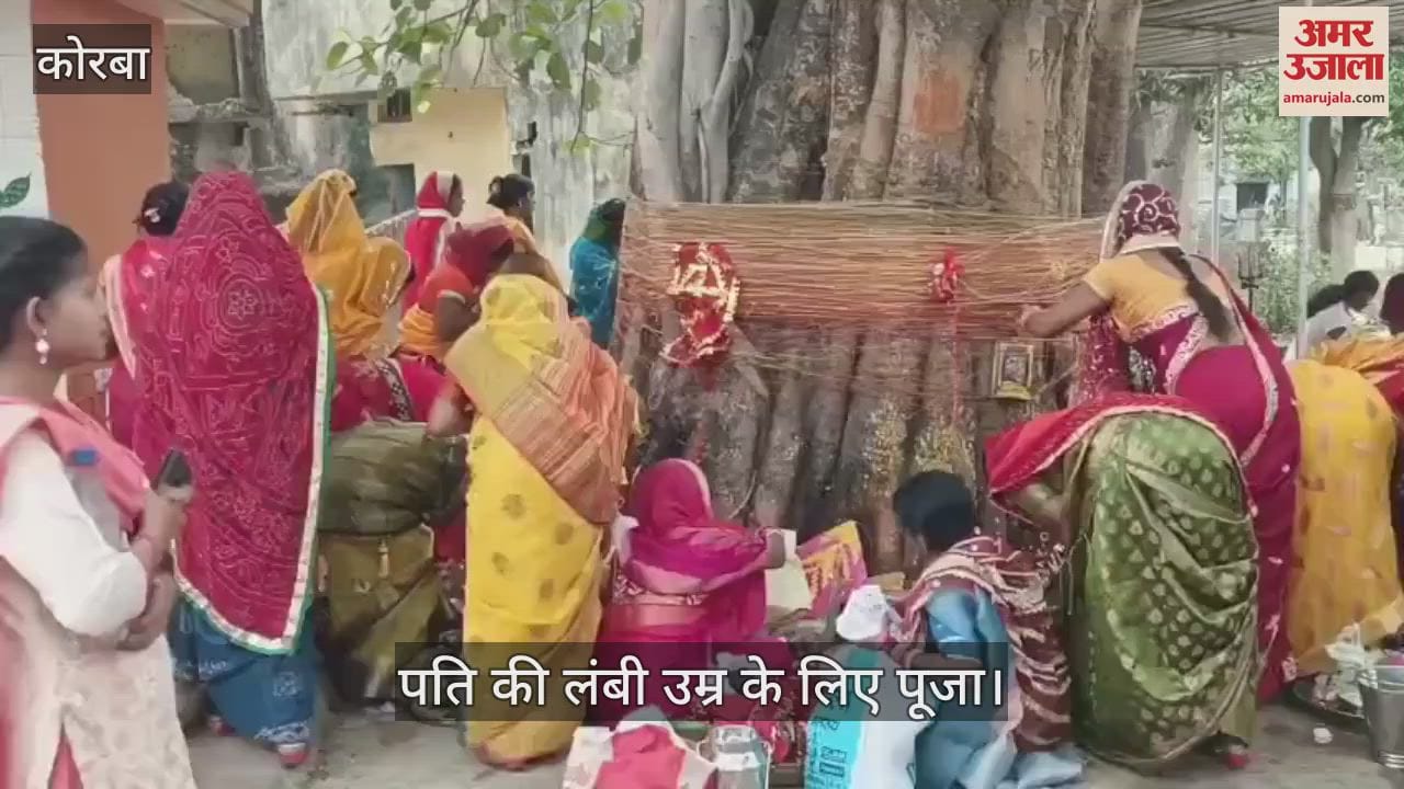 Women worship trees by tying Raksha Sutra to them for their husband long life