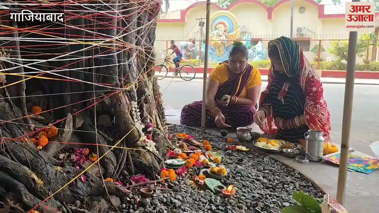Women were seen worshipping Banyan tree nearby
