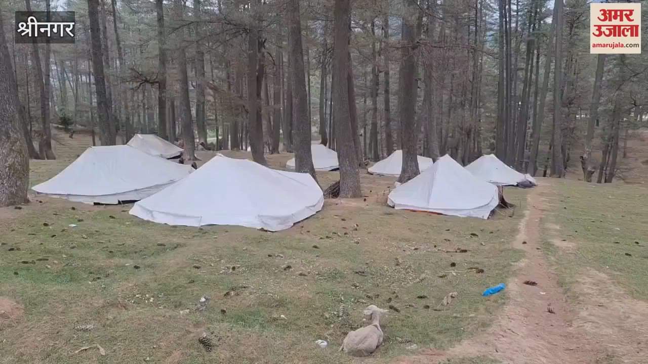 Fatima Tuz Zahra from Bandipora Wins Gold at State-Level Chess Championship 2025