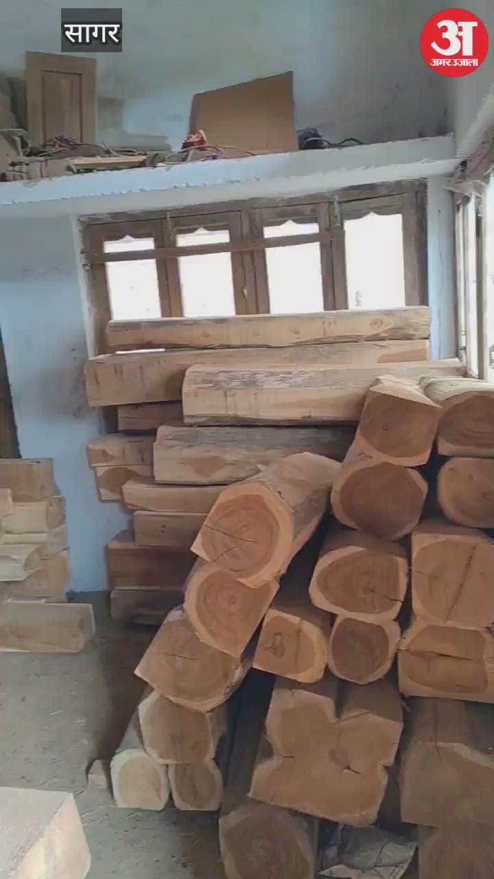 Precious teak from Betul forests seized in Sagar: Joint action by Betul and Sagar forest staff